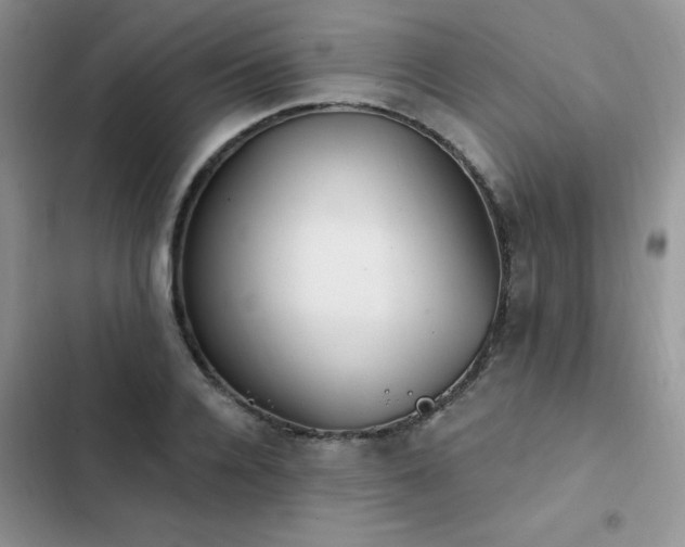 X0000103230936200808281427