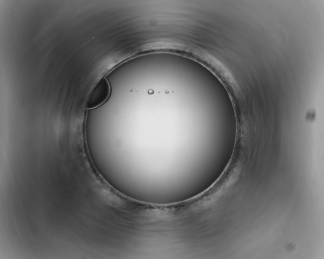 X0000103230937200808281427