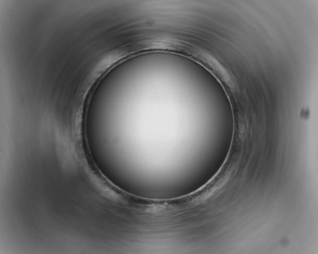 X0000103230938200808281427
