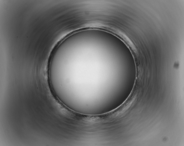 X0000103230939200808281427