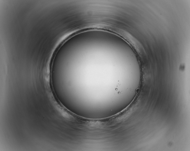 X0000103230940200808281427