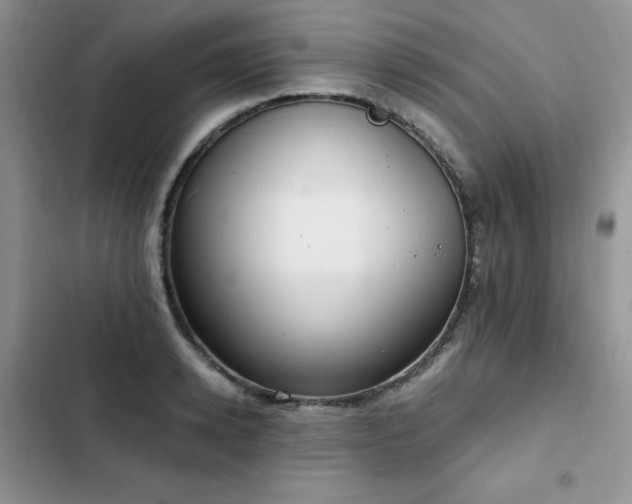 X0000103230942200808281427