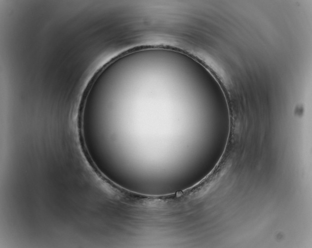 X0000103230943200808281427