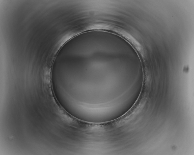 X0000103230945200808281427