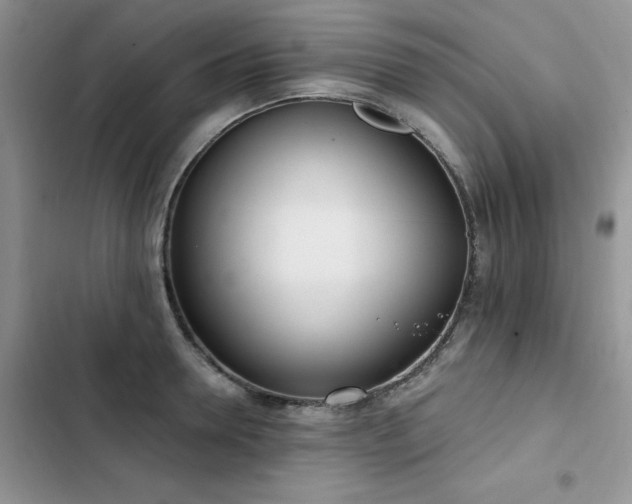 X0000103230946200808281427