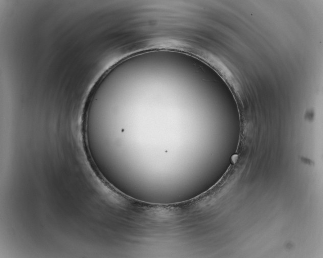 X0000103230947200808281427