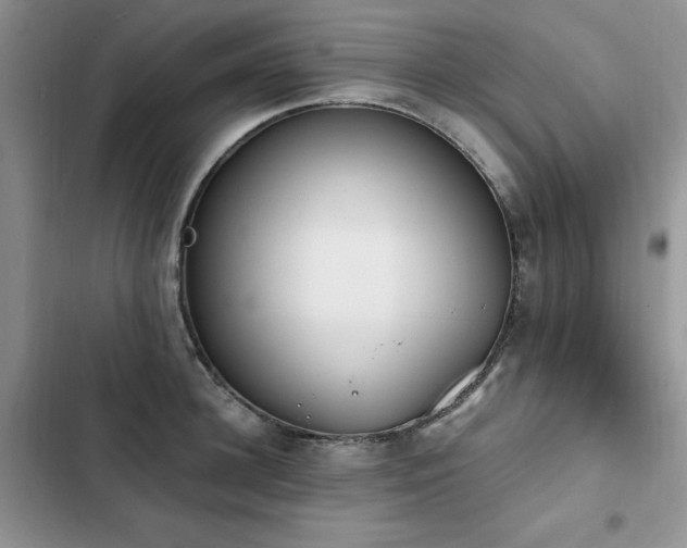 X0000103230948200808281427