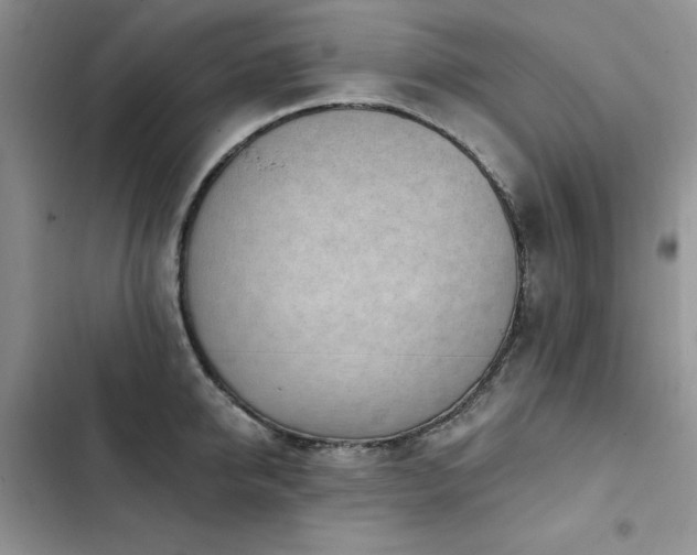 X0000103230950200808281427