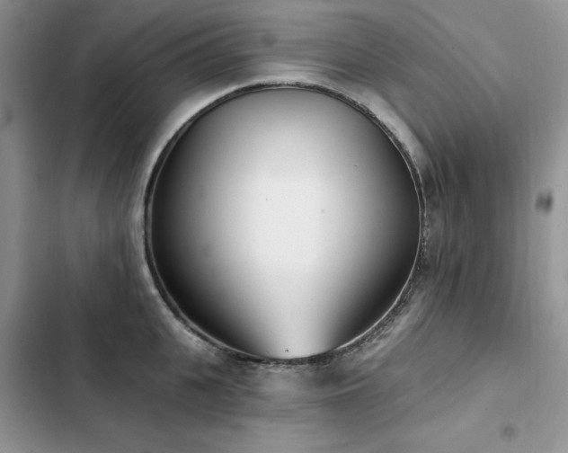 X0000103230951200808281427
