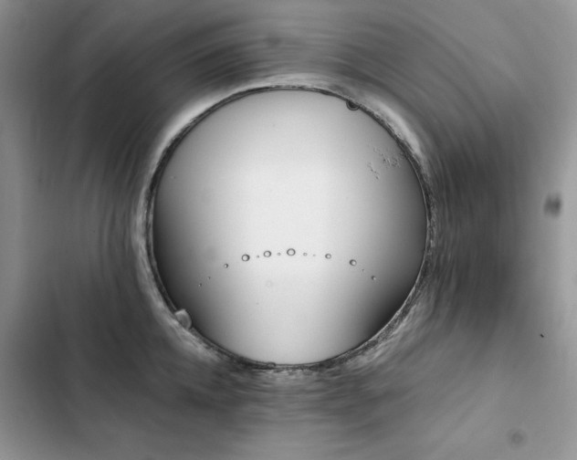 X0000103230952200808281427