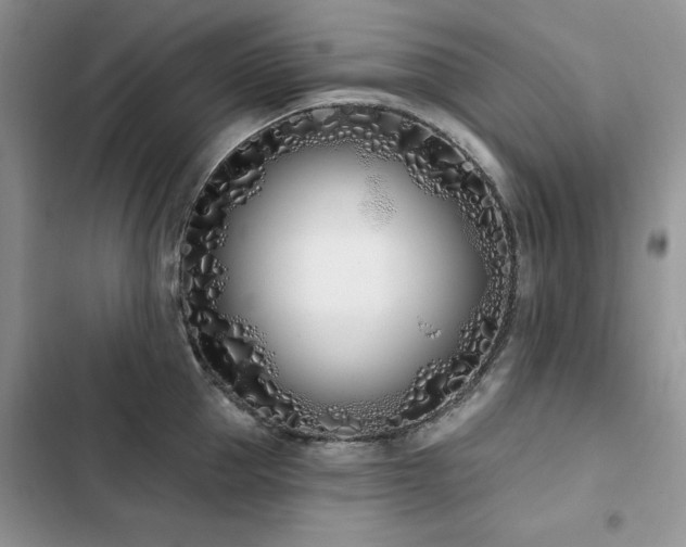 X0000103230953200808281428