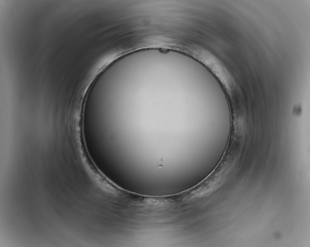 X0000103230954200808281428