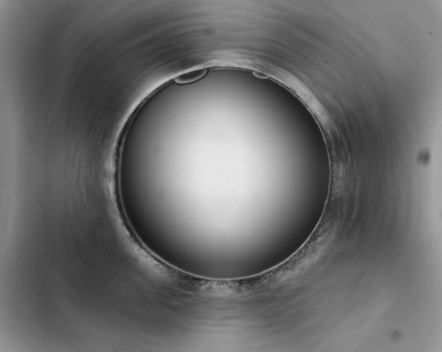 X0000103230955200808281428