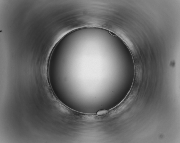 X0000103230956200808281428