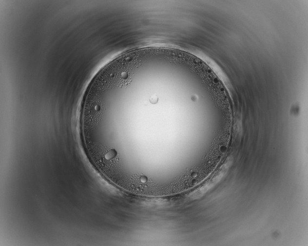 X0000103230957200808281428