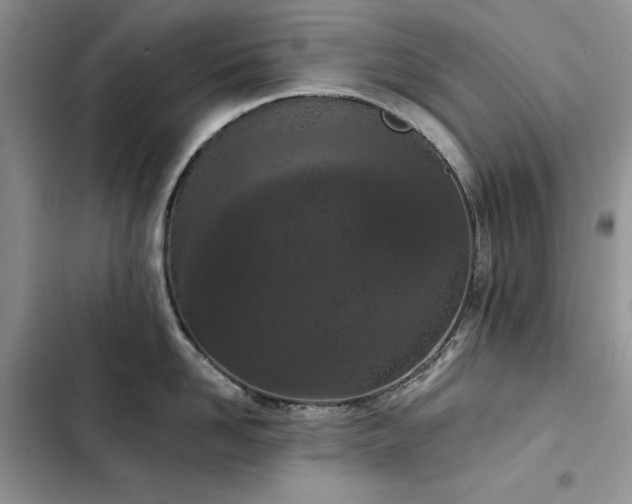 X0000103230958200808281428