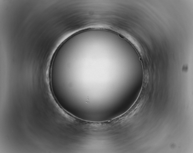 X0000103230959200808281428
