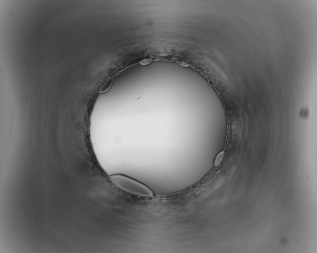 X0000103230961200808281427