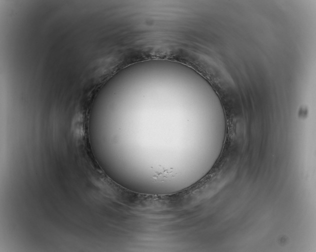 X0000103230962200808281427