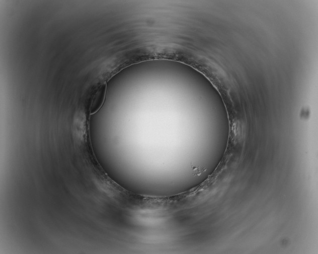 X0000103230963200808281427