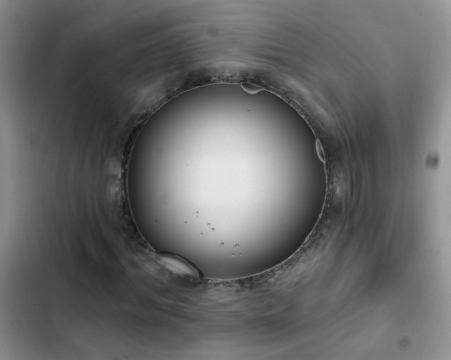 X0000103230964200808281427