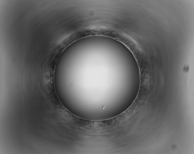 X0000103230966200808281427