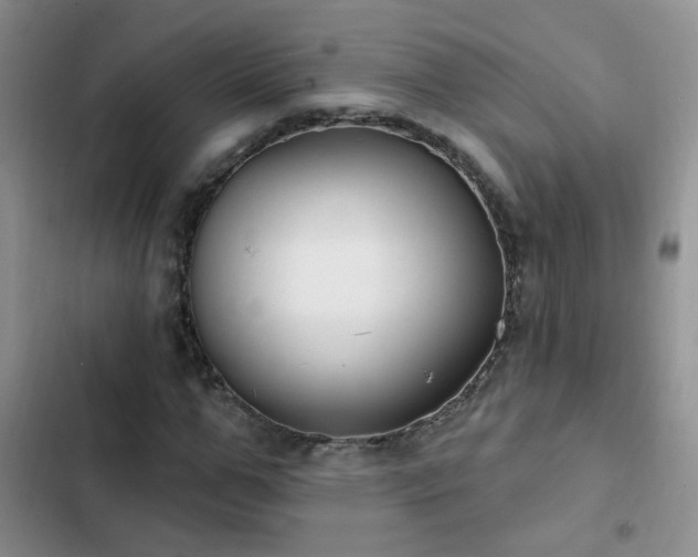 X0000103230967200808281427