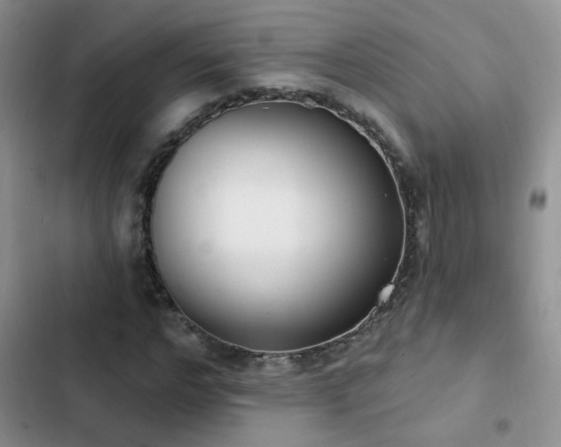 X0000103230968200808281427