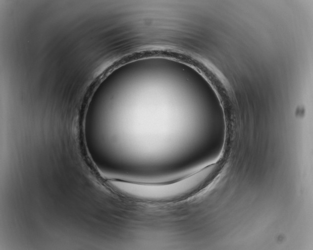 X0000103230969200808281427