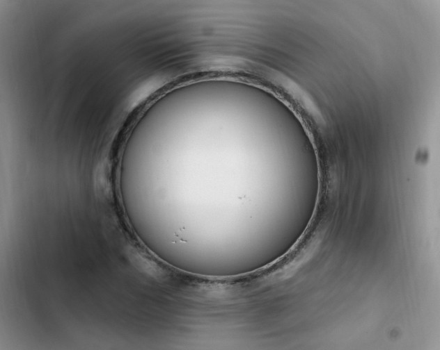 X0000103230970200808281427