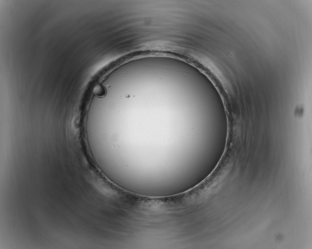 X0000103230971200808281427