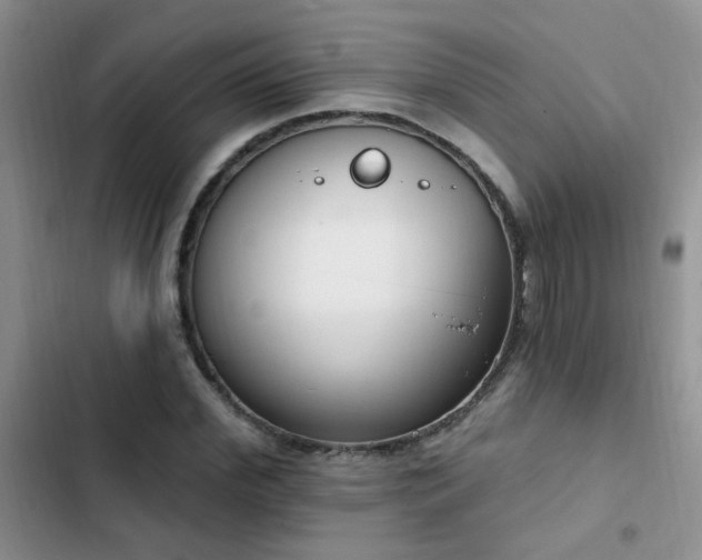 X0000103230972200808281427