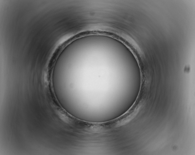 X0000103230974200808281427