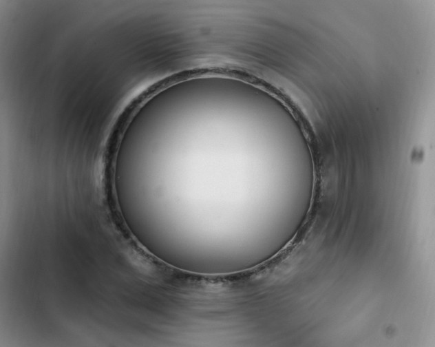 X0000103230975200808281427