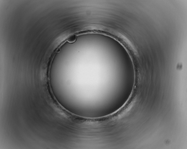 X0000103230977200808281427