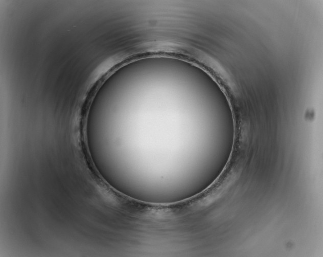 X0000103230978200808281427