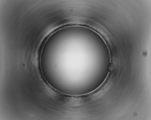 X0000103230981200808281427