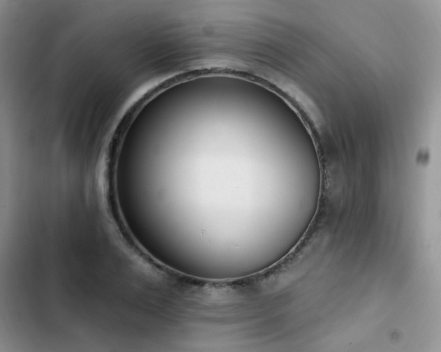 X0000103230983200808281427