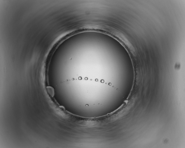X0000103230984200808281427