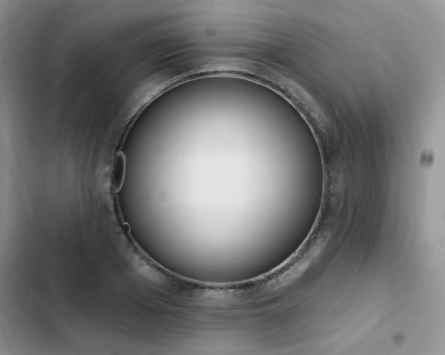 X0000103230985200808281427