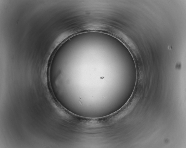 X0000103230986200808281427