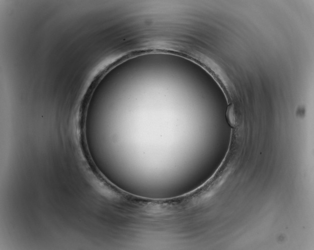 X0000103230987200808281427