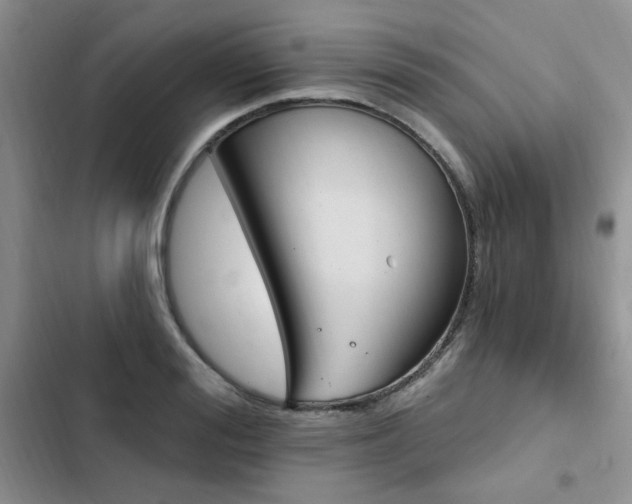 X0000103230988200808281427