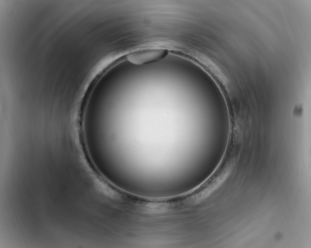 X0000103230989200808281427