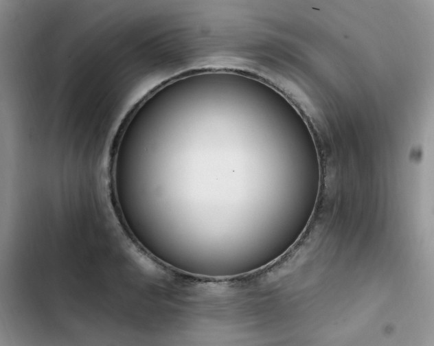 X0000103230990200808281427