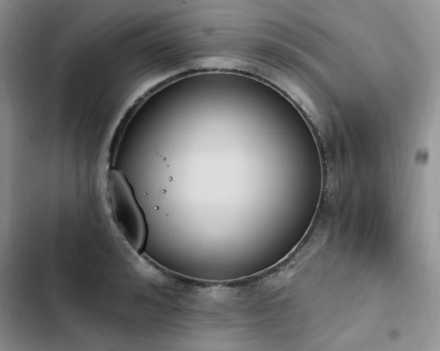 X0000103230992200808281427