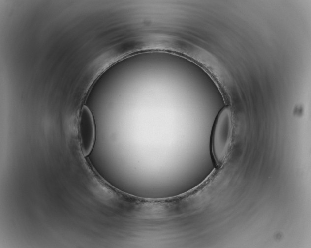X0000103230993200808281426