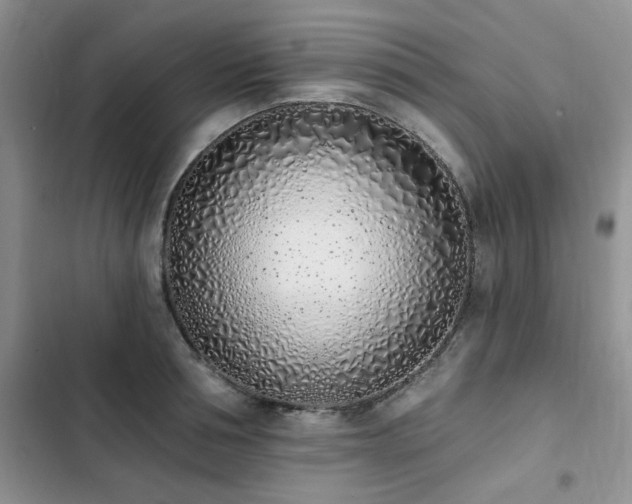 X0000103230994200808281426