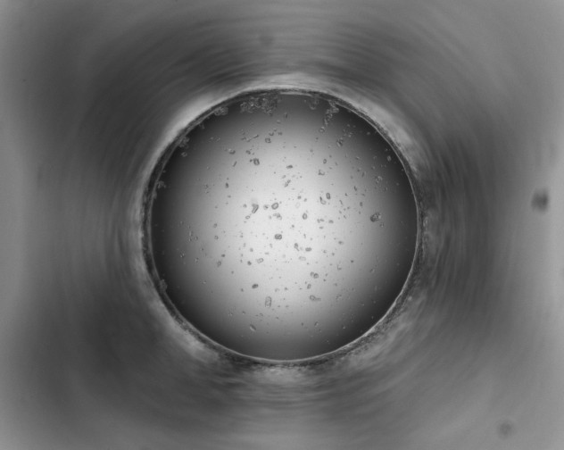 X0000103230998200808281426
