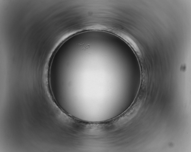 X0000103231000200808281426